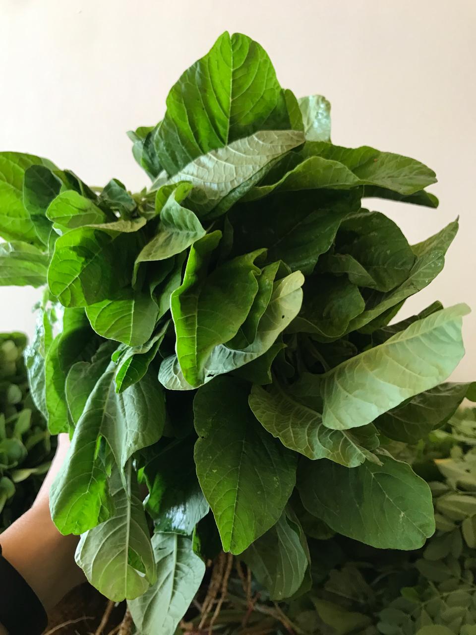 Organic Leafy Greens