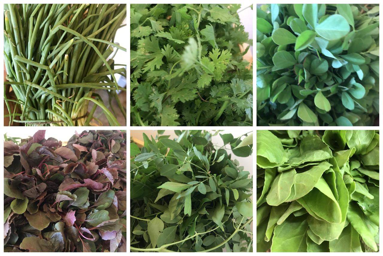 ORGANIC LEAFY GREENS