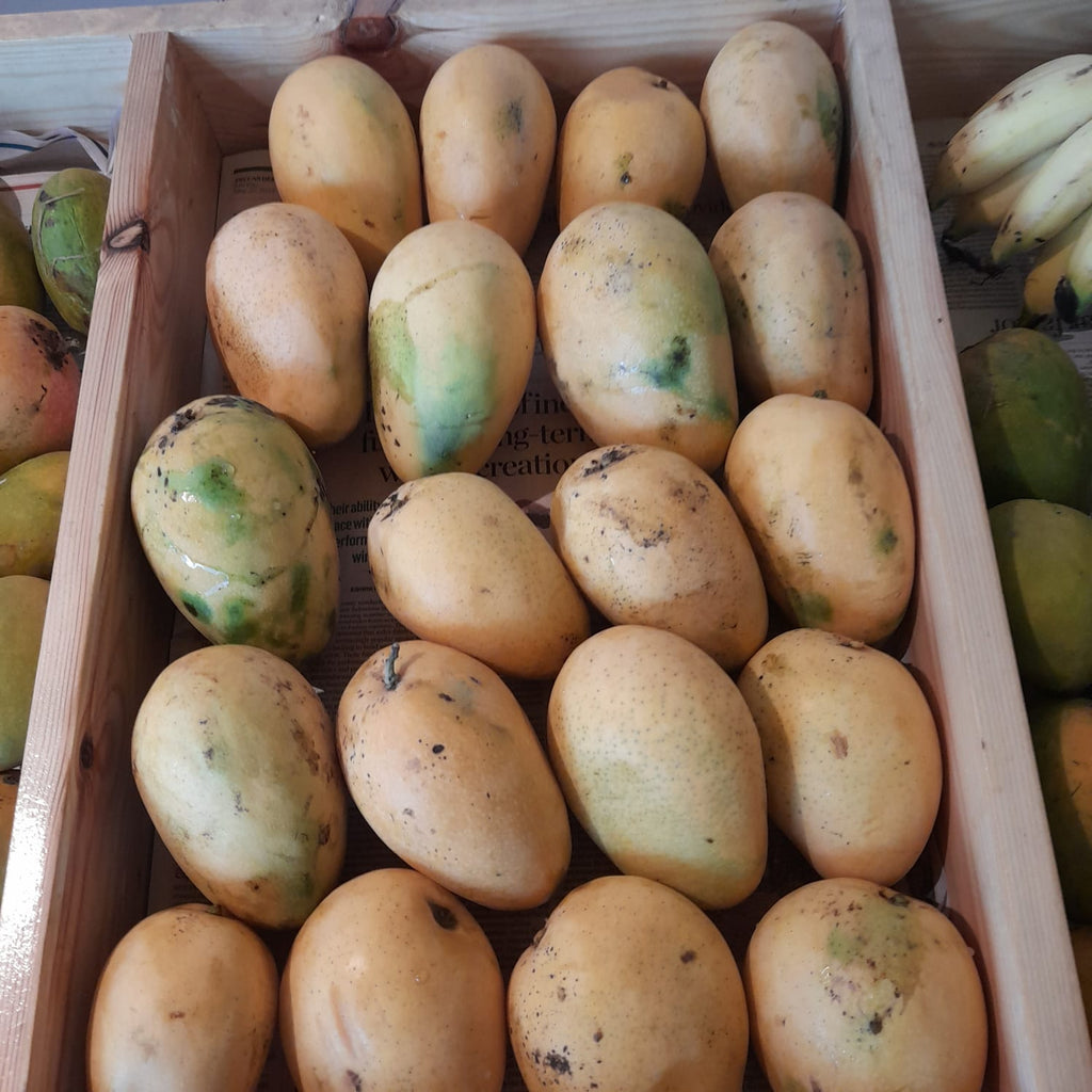 Organic Mango Banganapalli - 1kg