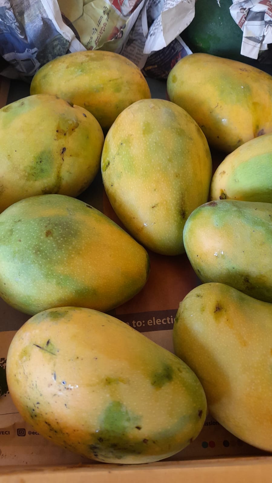 Organic Mango Banganapalli - 1kg