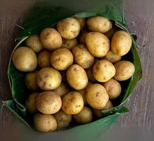 Organic Baby Potato - 500g