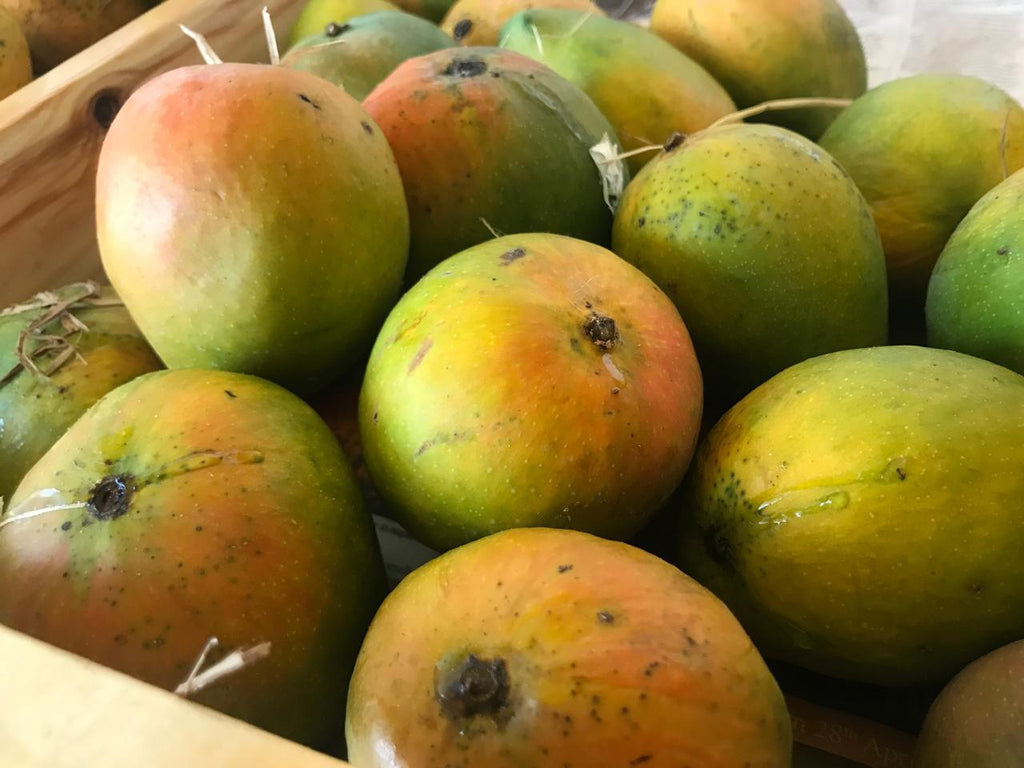 Organic Mango Badami - 500g
