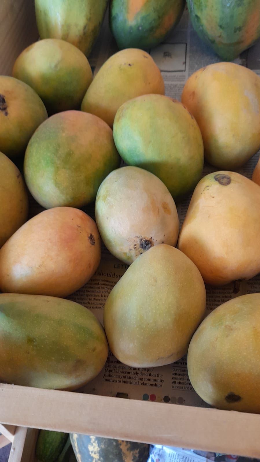 Organic Mango Badami - 500g