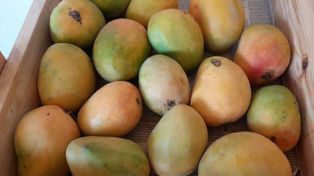 Organic Mango Badami - 500g