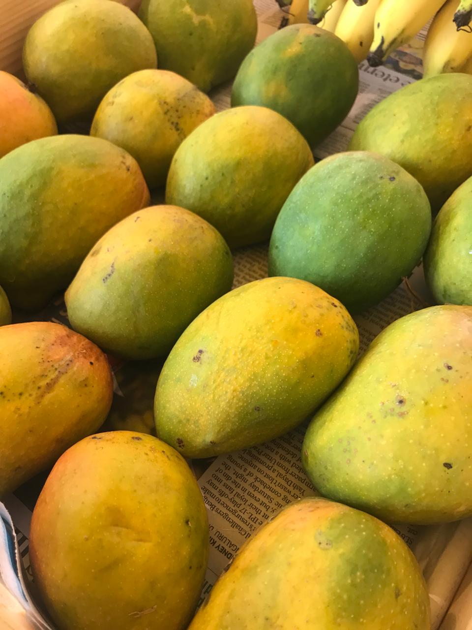 Organic Mango Badami - 500g