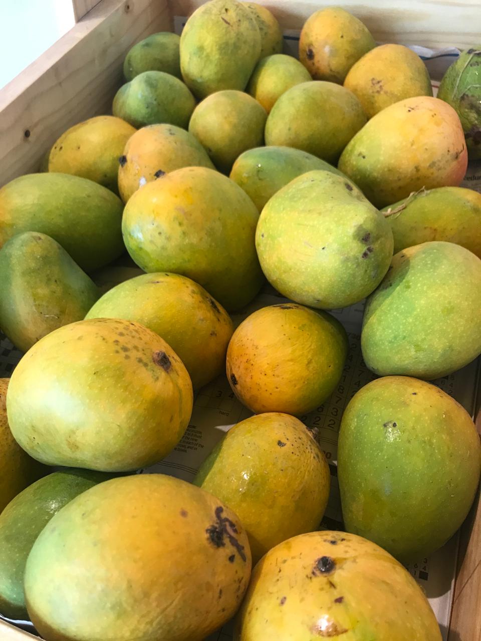 Organic Mango Badami - 500g