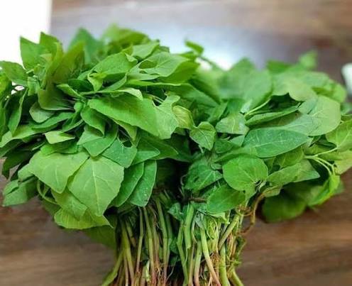 Organic Chakotha Soppu/Leaves - 1 Bunch