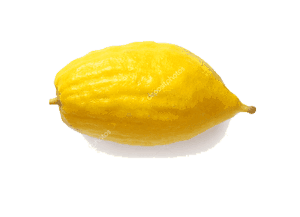Organic Citron Lemon/Lime - 500g
