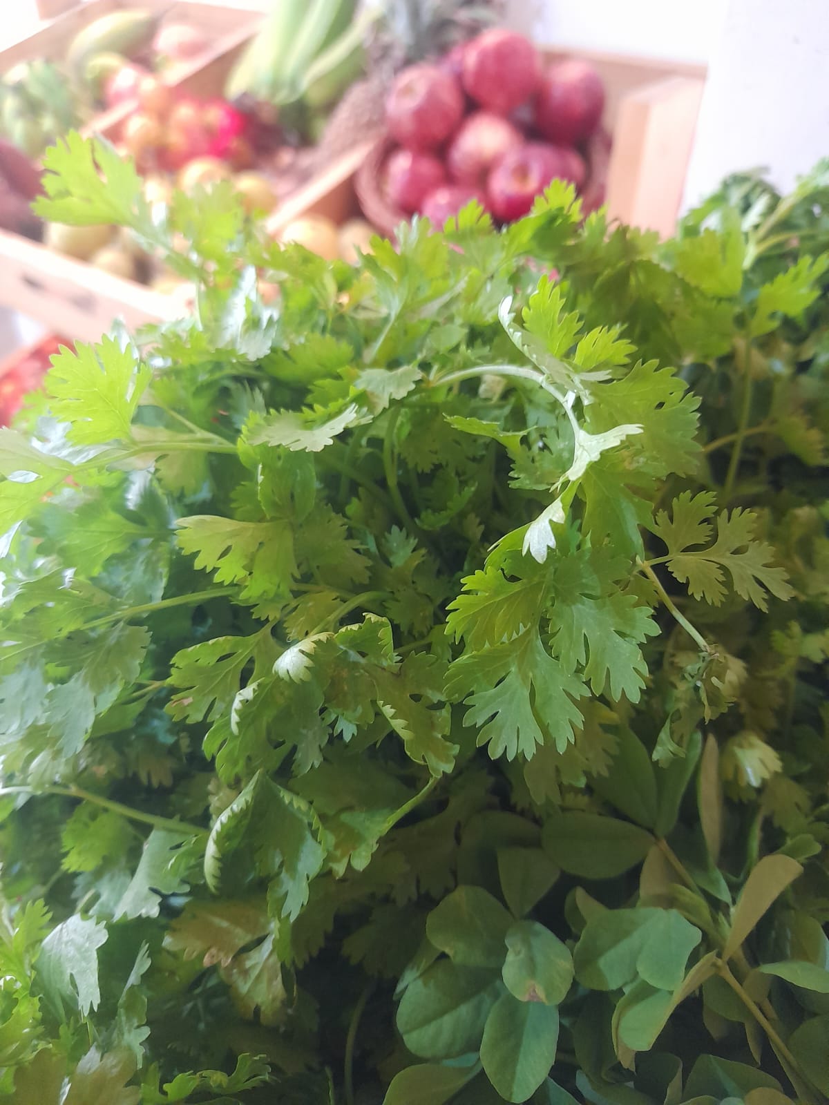 Organic Coriander Leaves - 1 Bunch