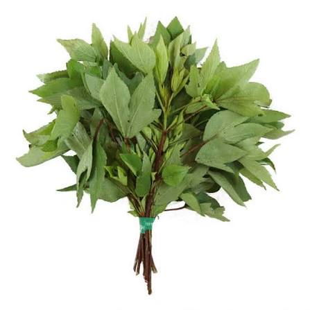 Organic Gongura/Sorrel Leaves - 1 Bunch