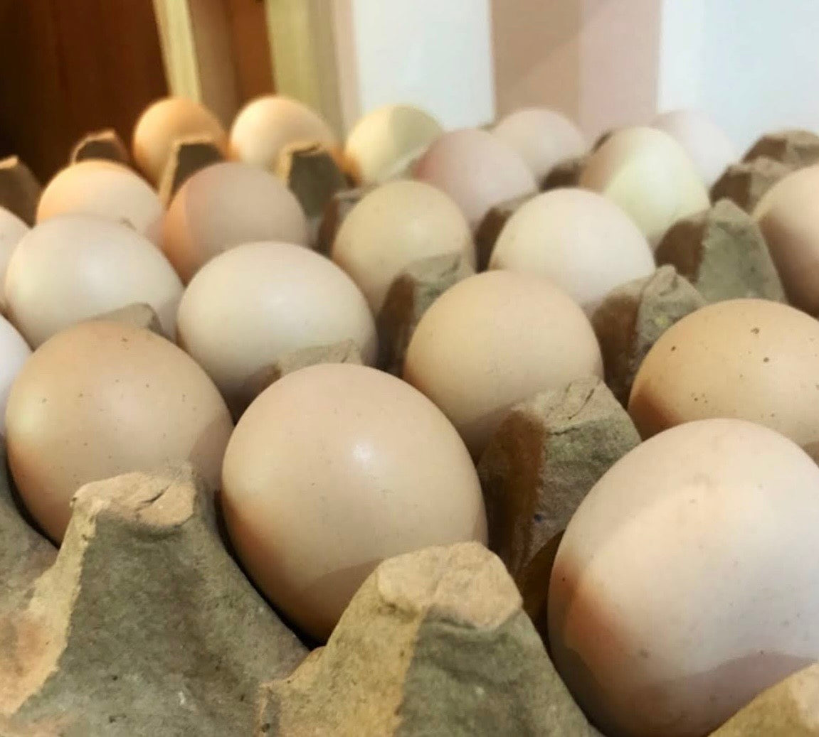 Free-range Nati Eggs - 12 pcs