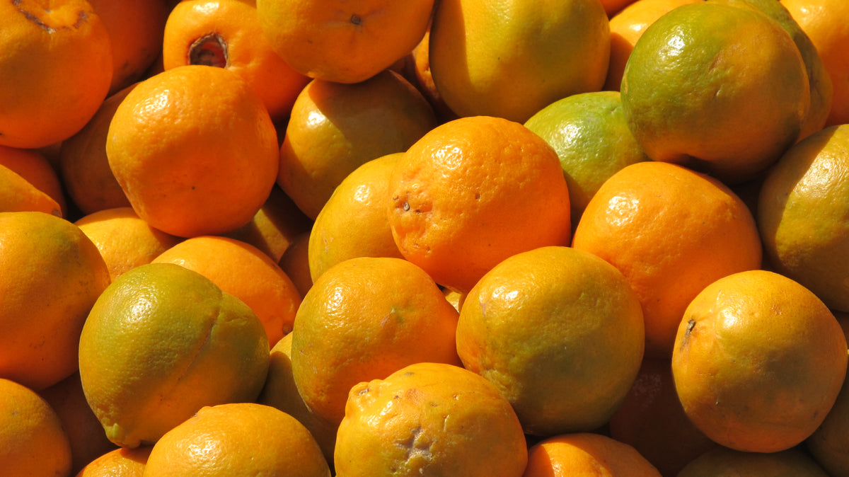 Organic Orange Nagpur - 500g
