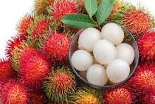 Organic Rambutan Fruit - 500g(Pack)