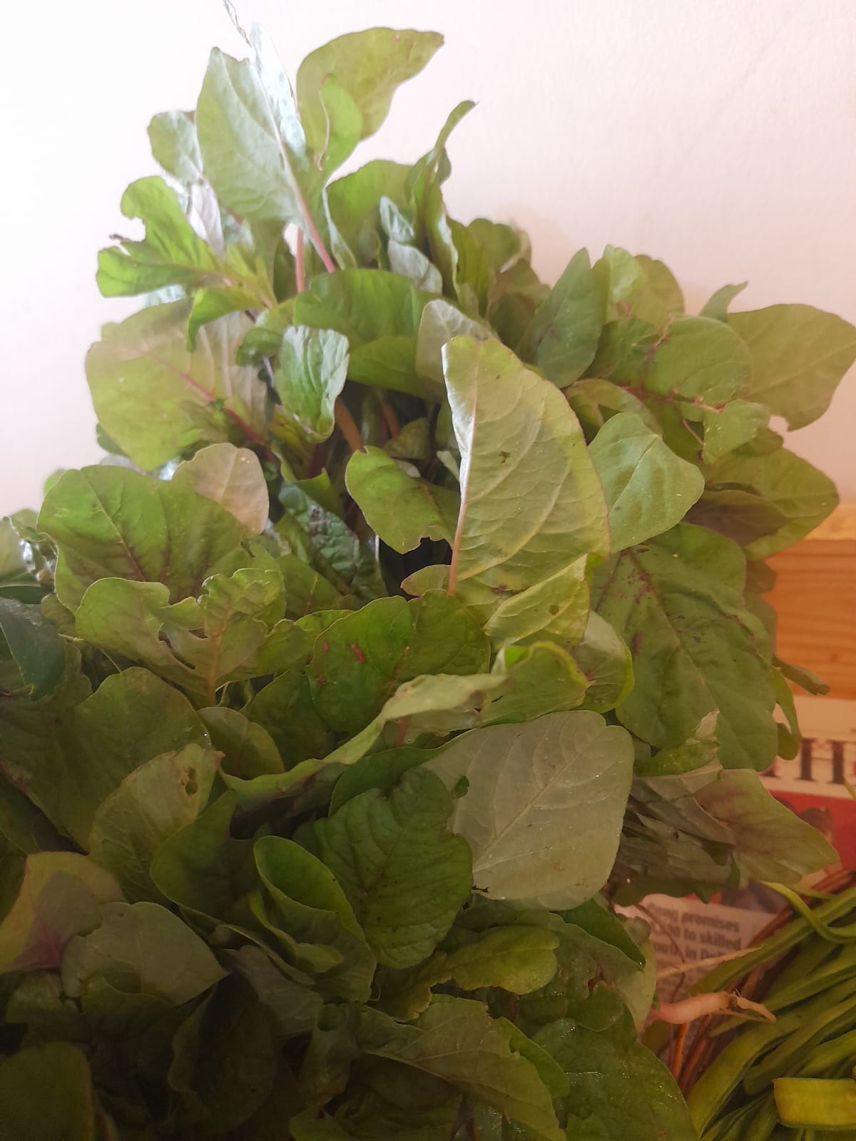 Organic Spinach/Palak - 1 bunch