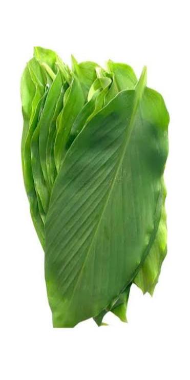 Organic Turmeric Leaves - 100g