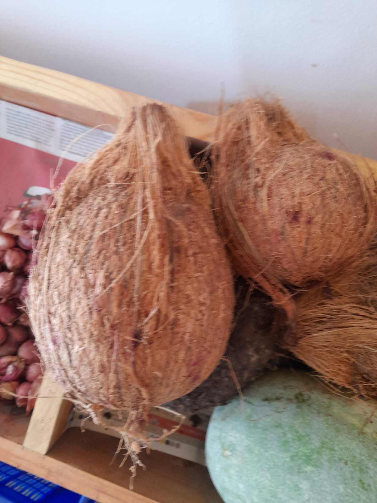 Organic Coconut  - 1pc