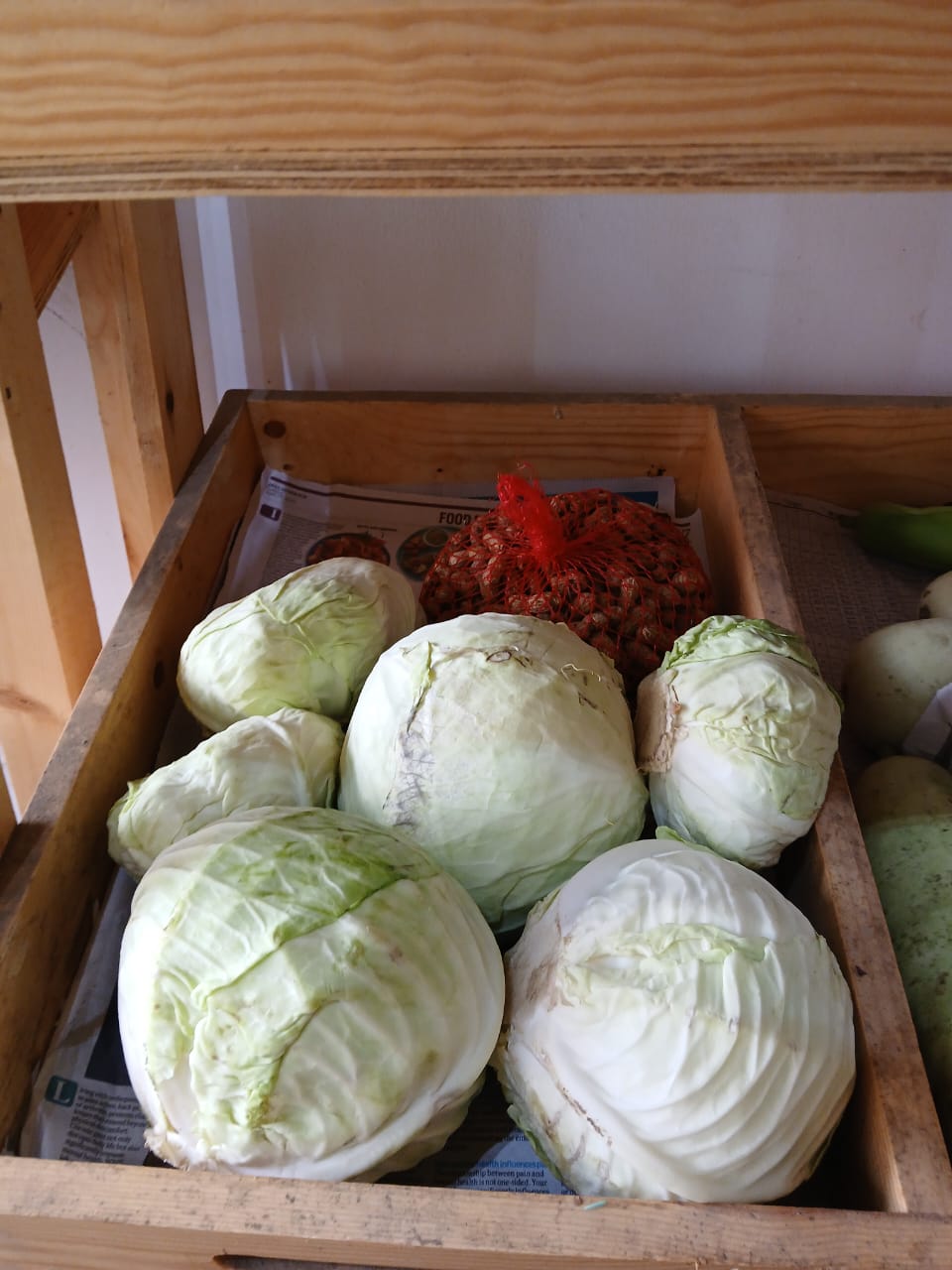 Organic Cabbage - 600g