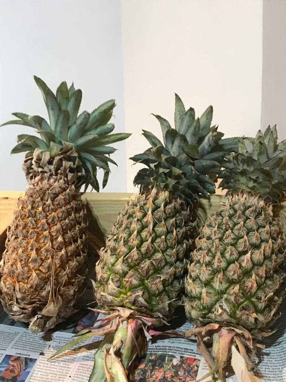 Organic Pineapple - 1 pc