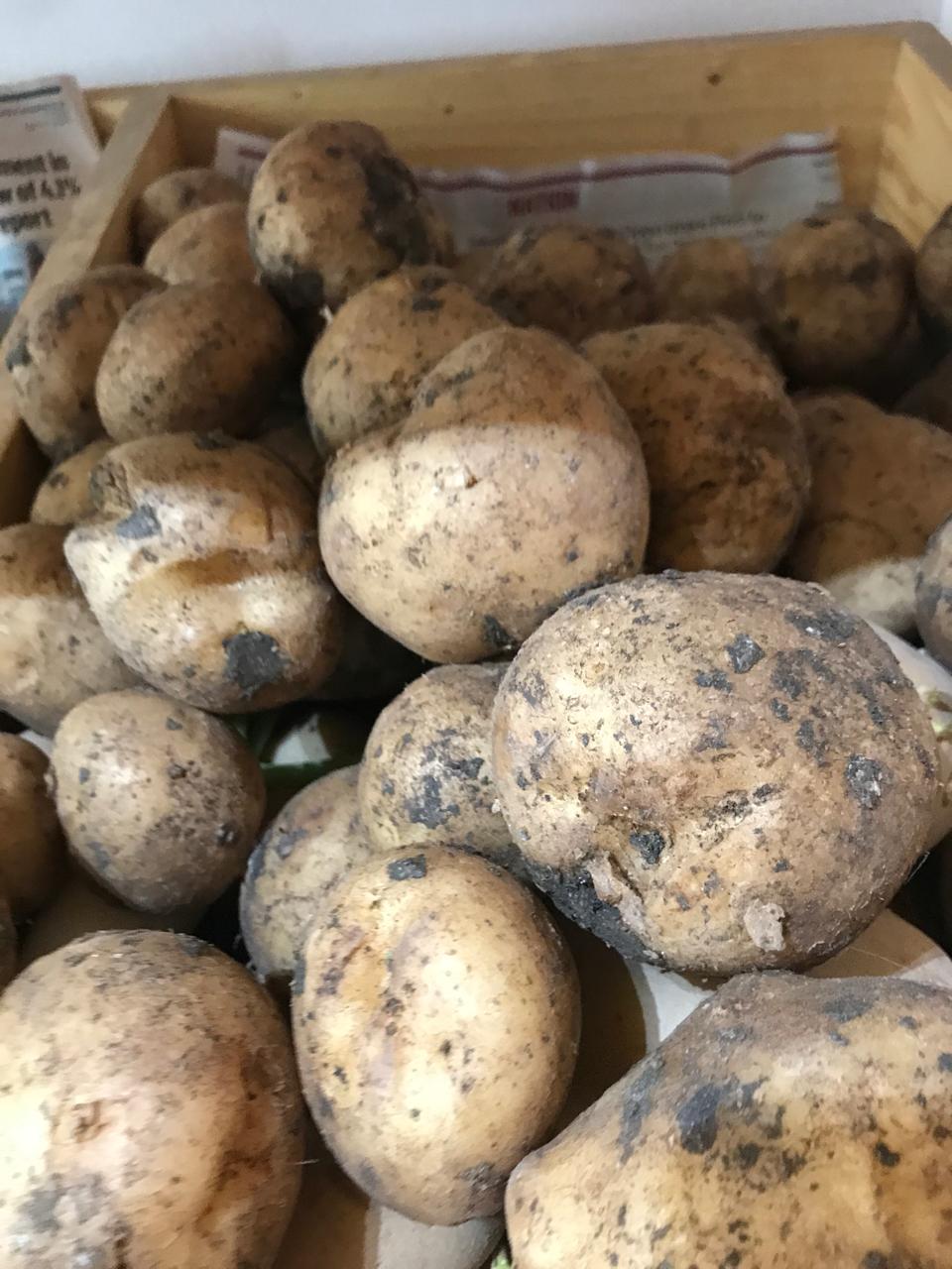 Organic Potato Ooty - 500 g