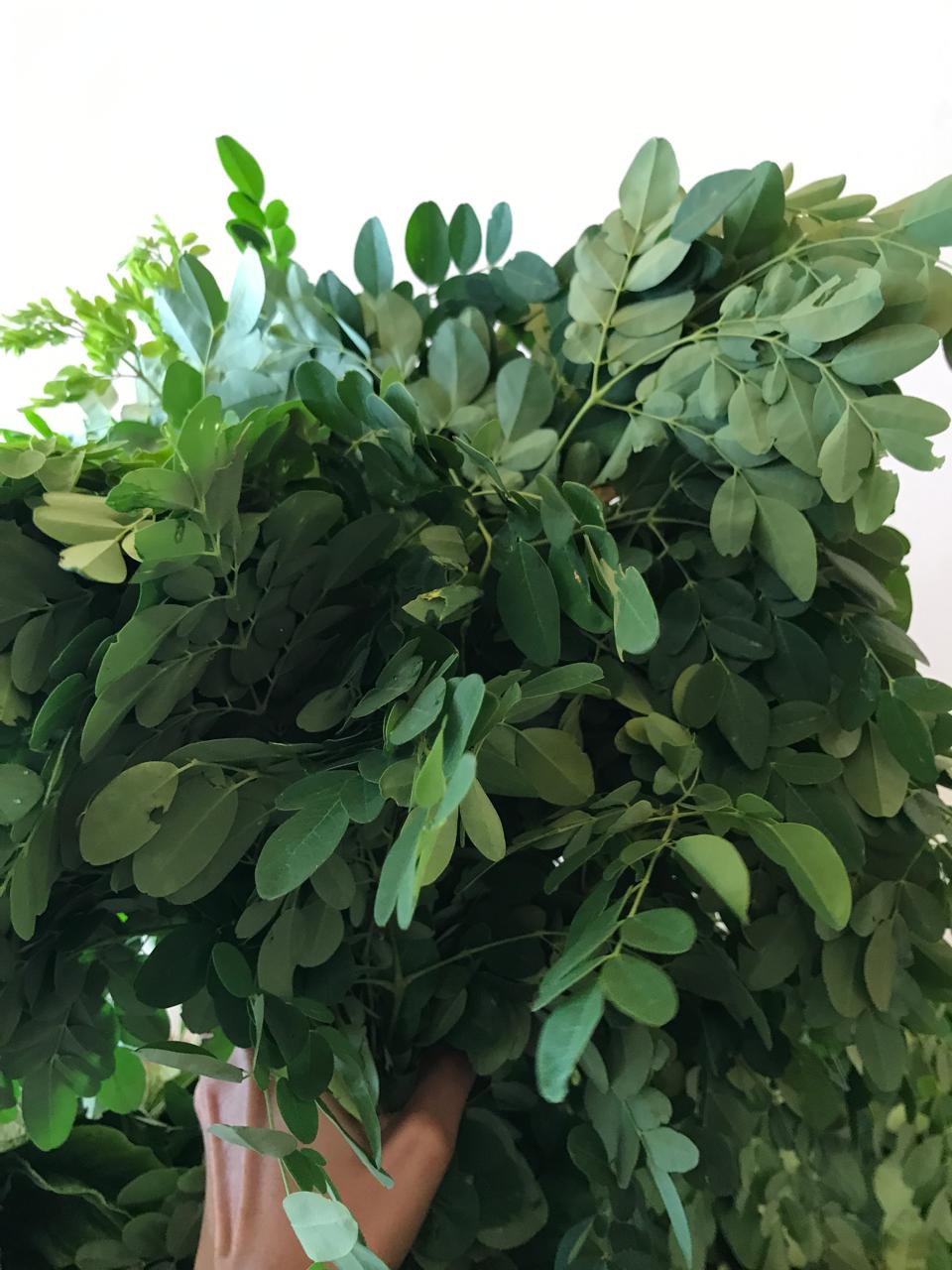 Organic Methi Leaf - 1 Bunch