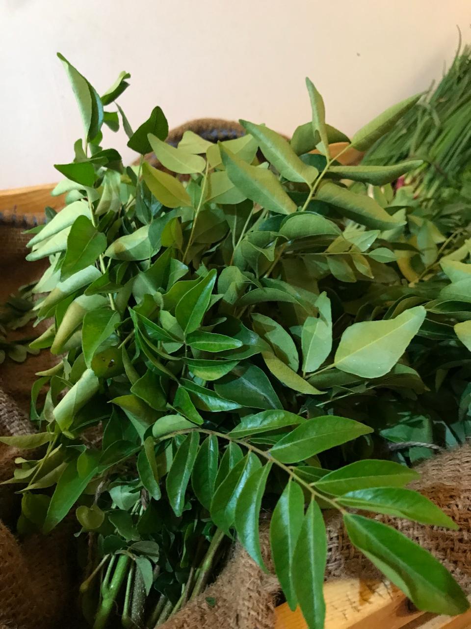 Organic Curry Leaf - 1 Bunch