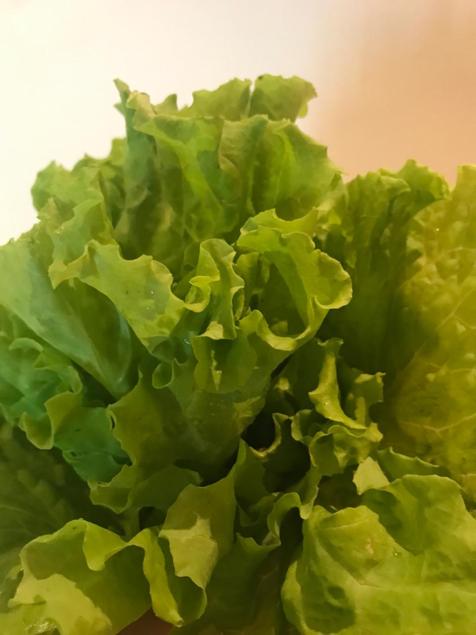 Organic Lettuce Green - 1 bunch