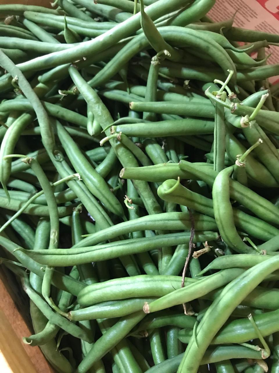 Organic Ring Beans - 250g