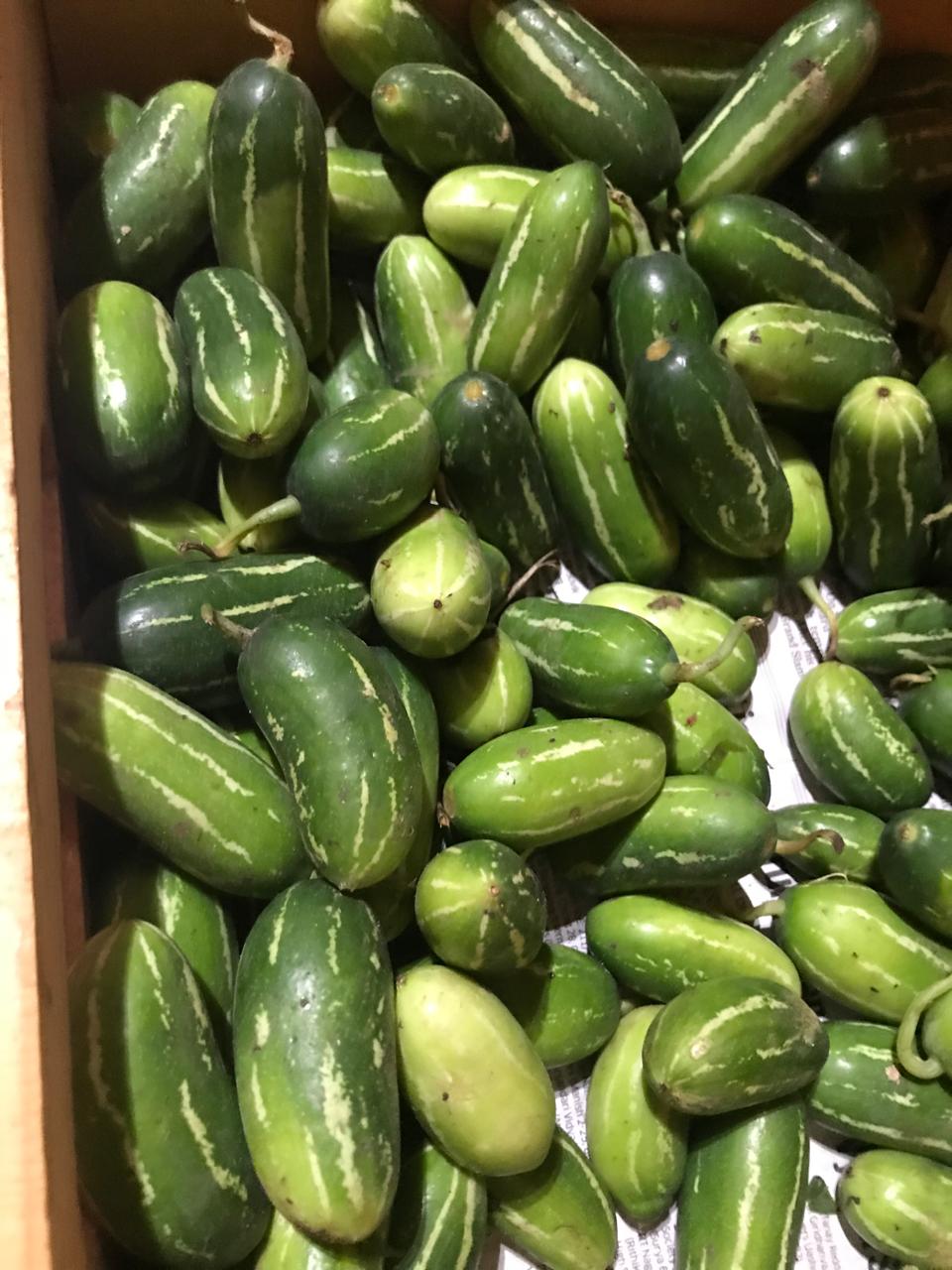 Organic Little Gourd/ Tindly- 250g