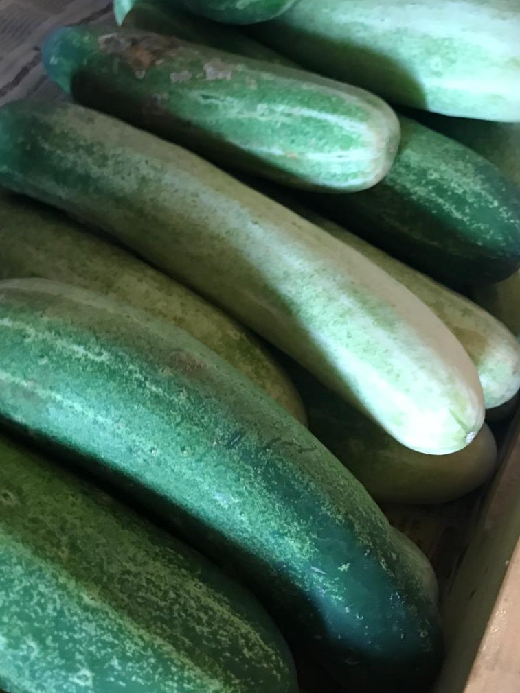 Organic Cucumber - 500g