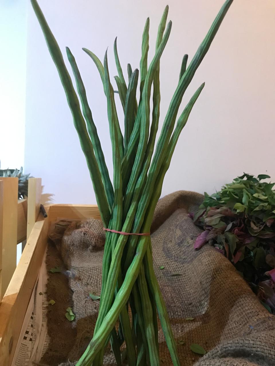 Organic Drumstick - 1 piece