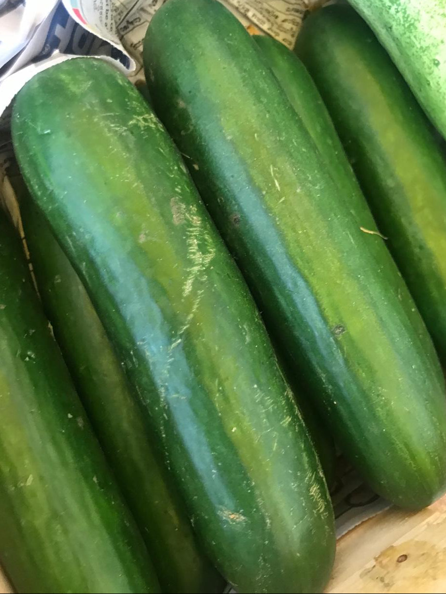 Organic English Cucumber - 500g