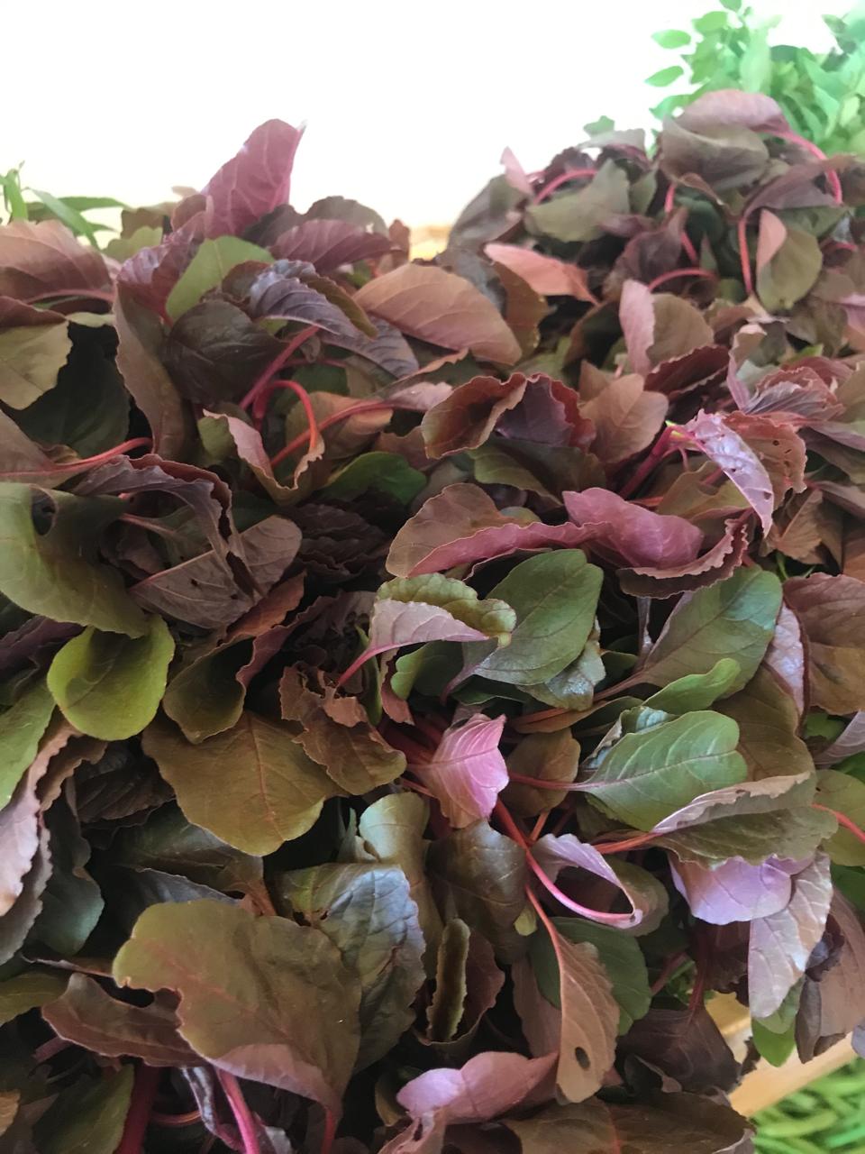 Organic Amaranthus/Dantu Red- 1 Bunch