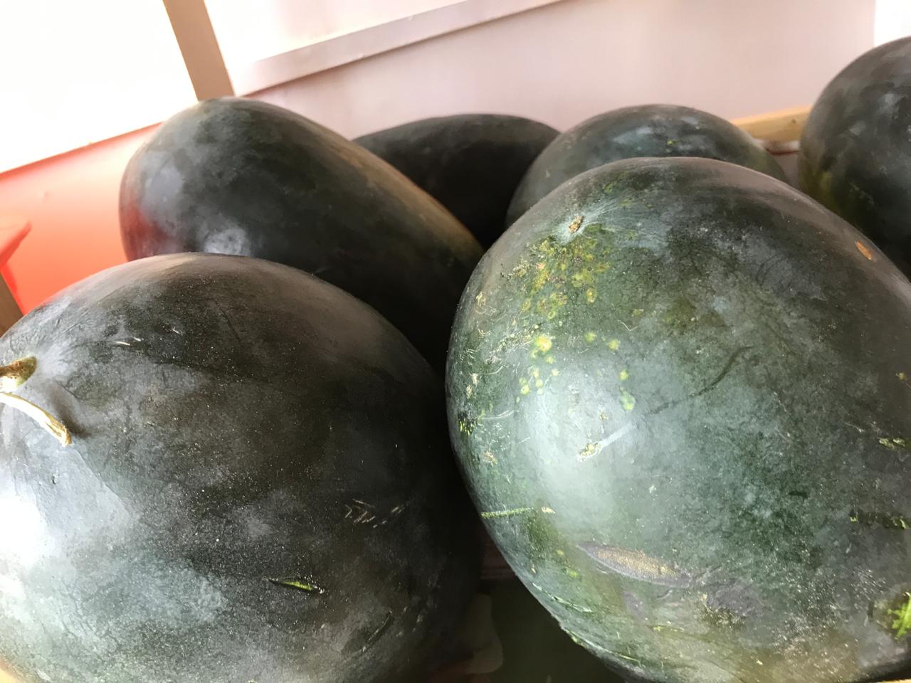 Organic Watermelon - 1 piece