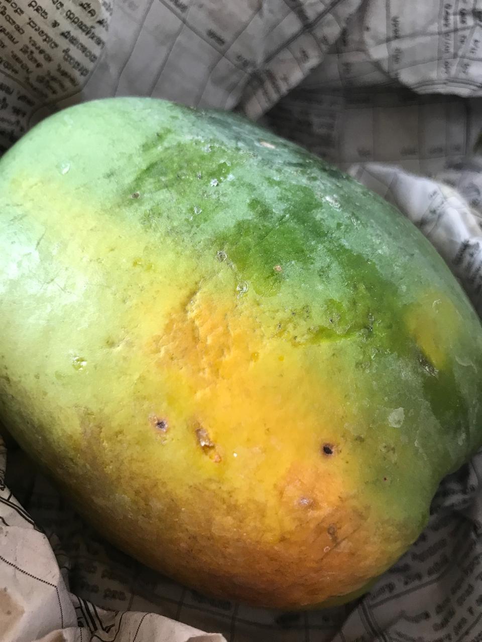 Organic Papaya - 1 piece
