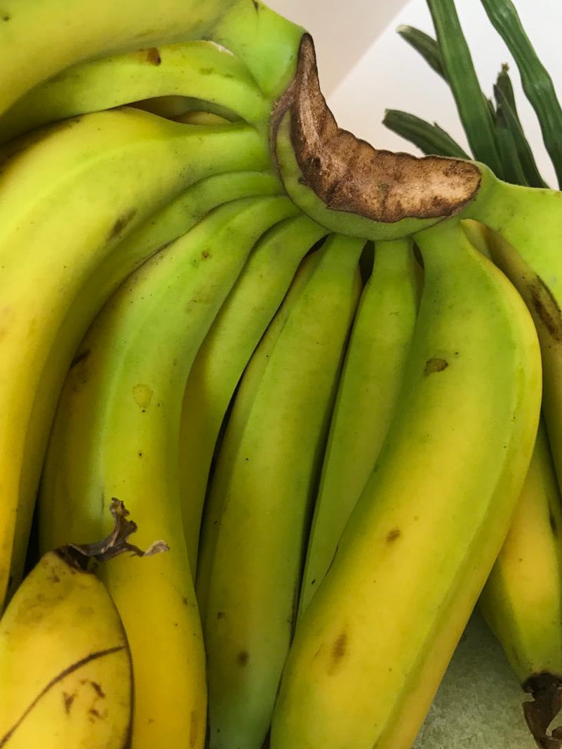 Organic Banana Robusta - 500g
