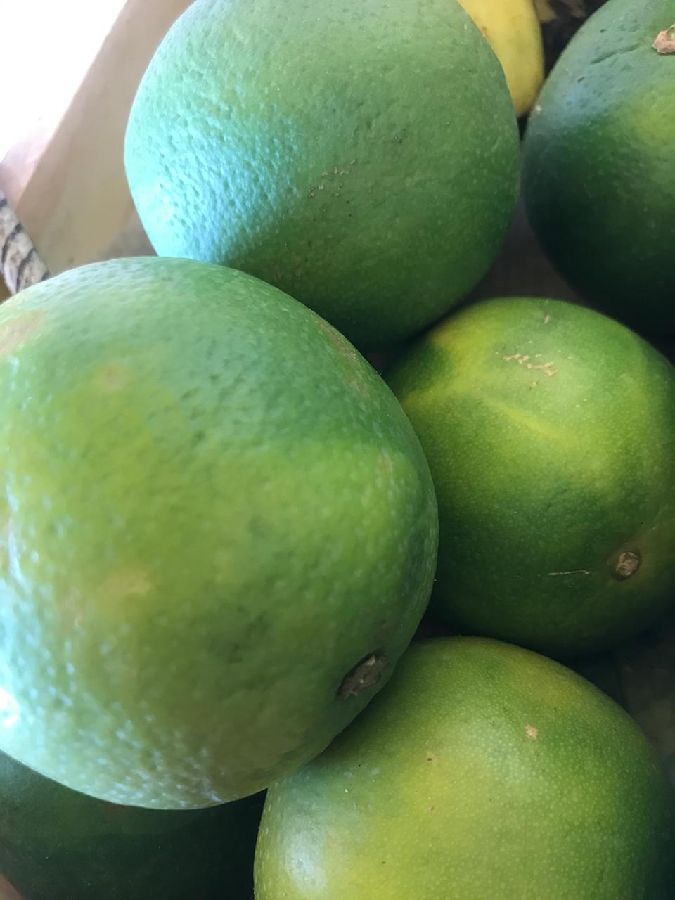Organic Mosambi - 500g