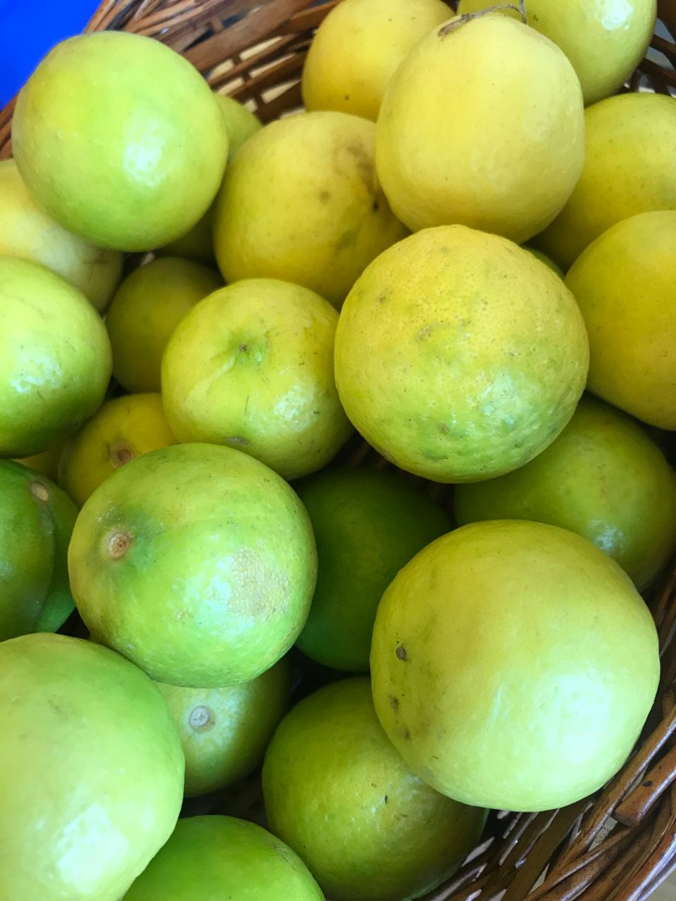 Organic Lime - 3 pieces