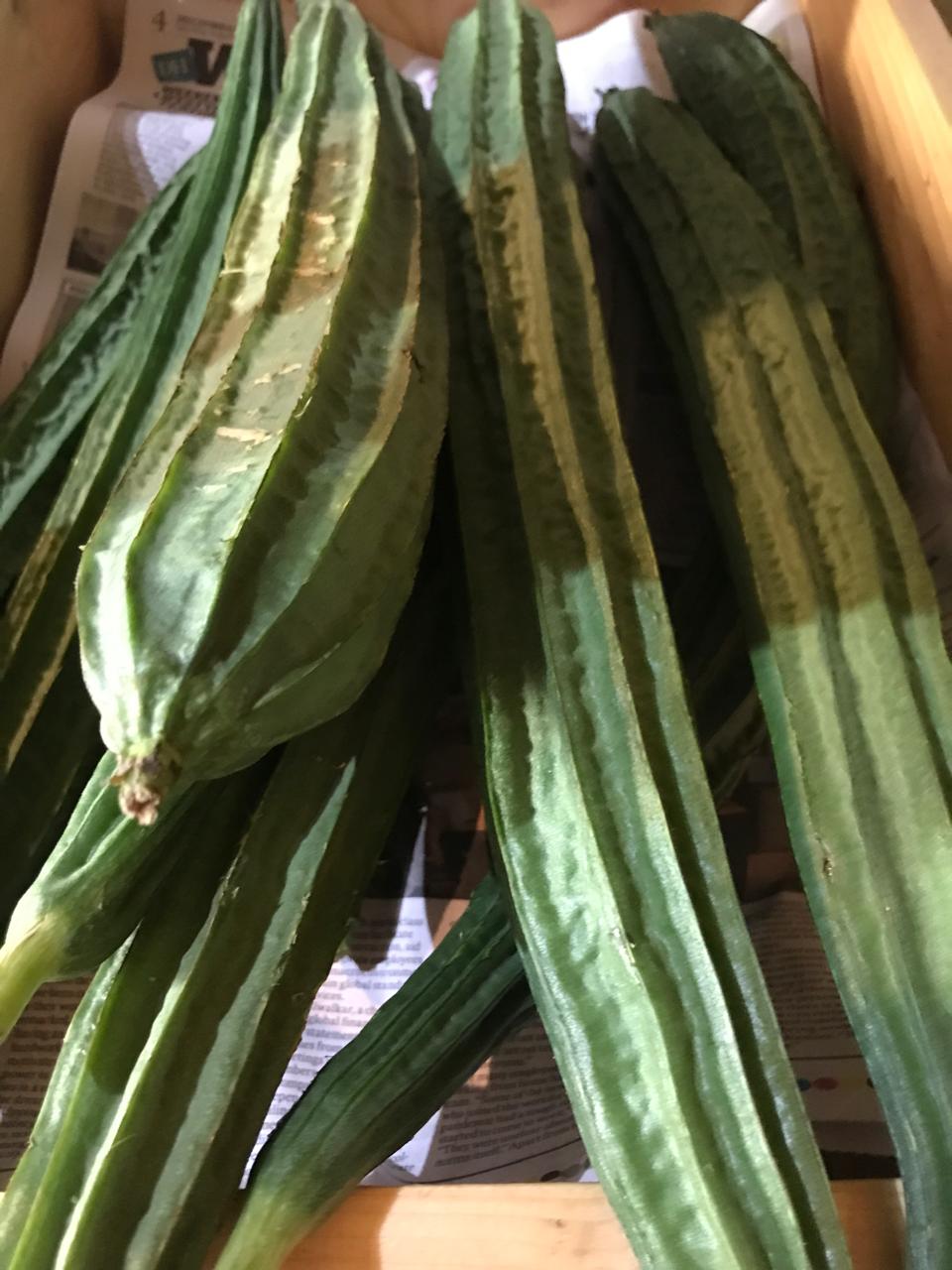 Organic Ridge Gourd- 500g