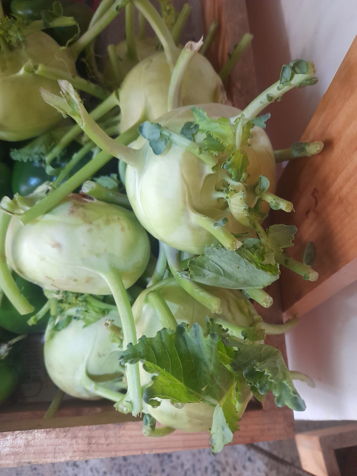 Organic Knol Khol  - 250g