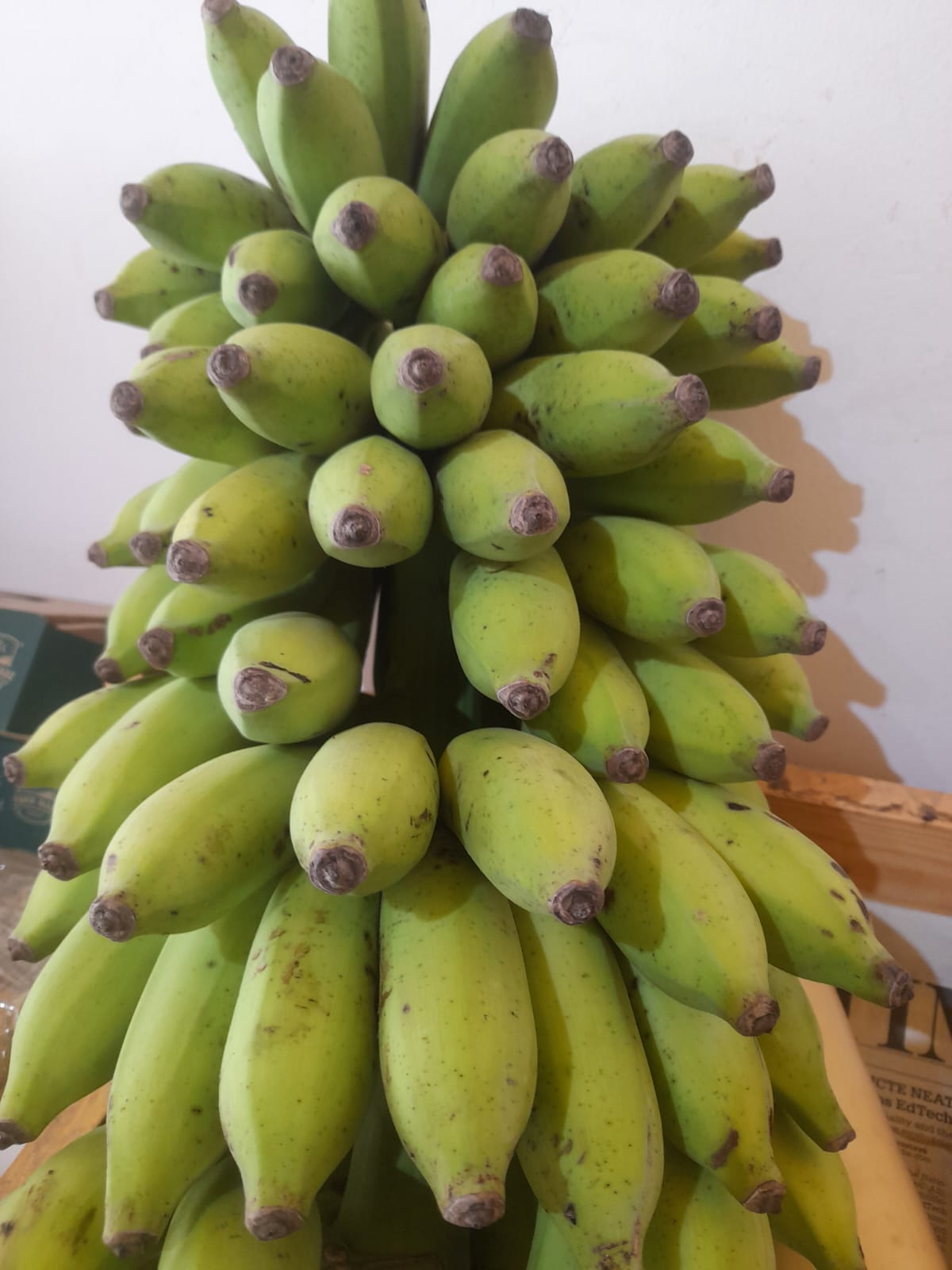 Organic Yelakki Banana - 500g