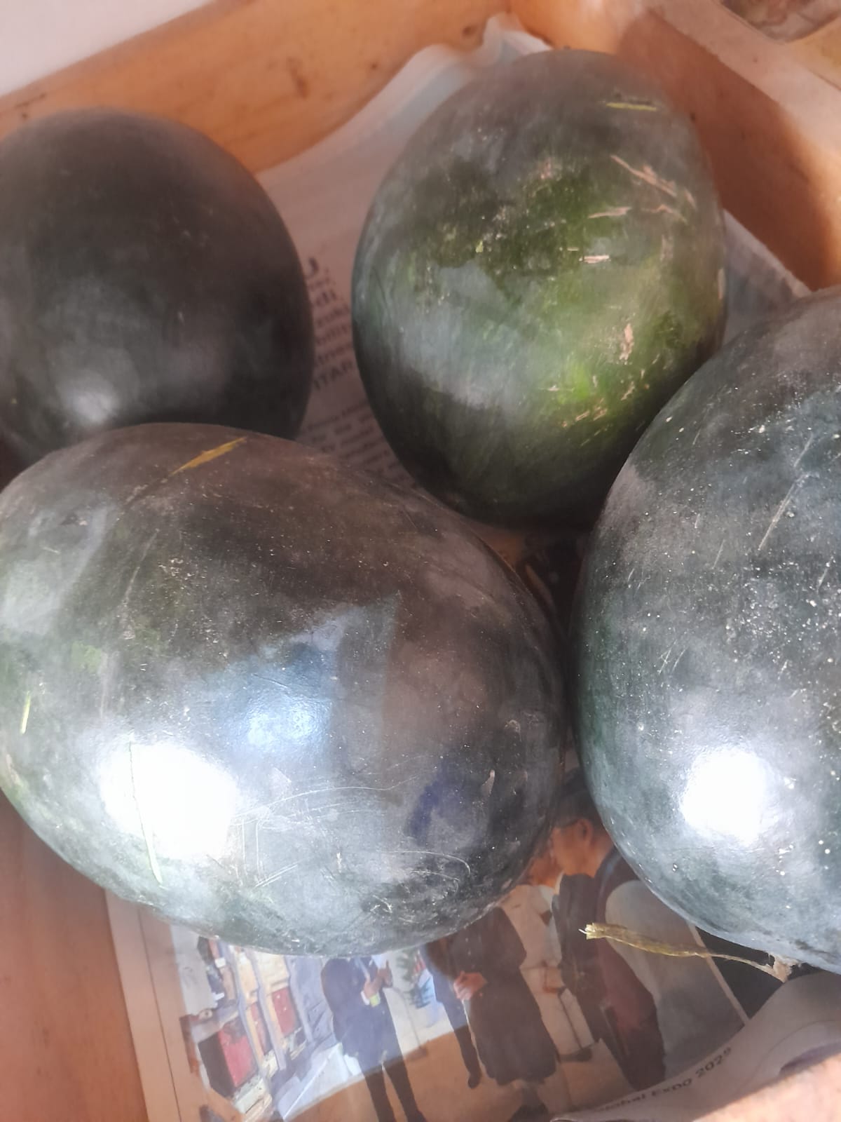 Organic Watermelon - 1 pc (Medium)