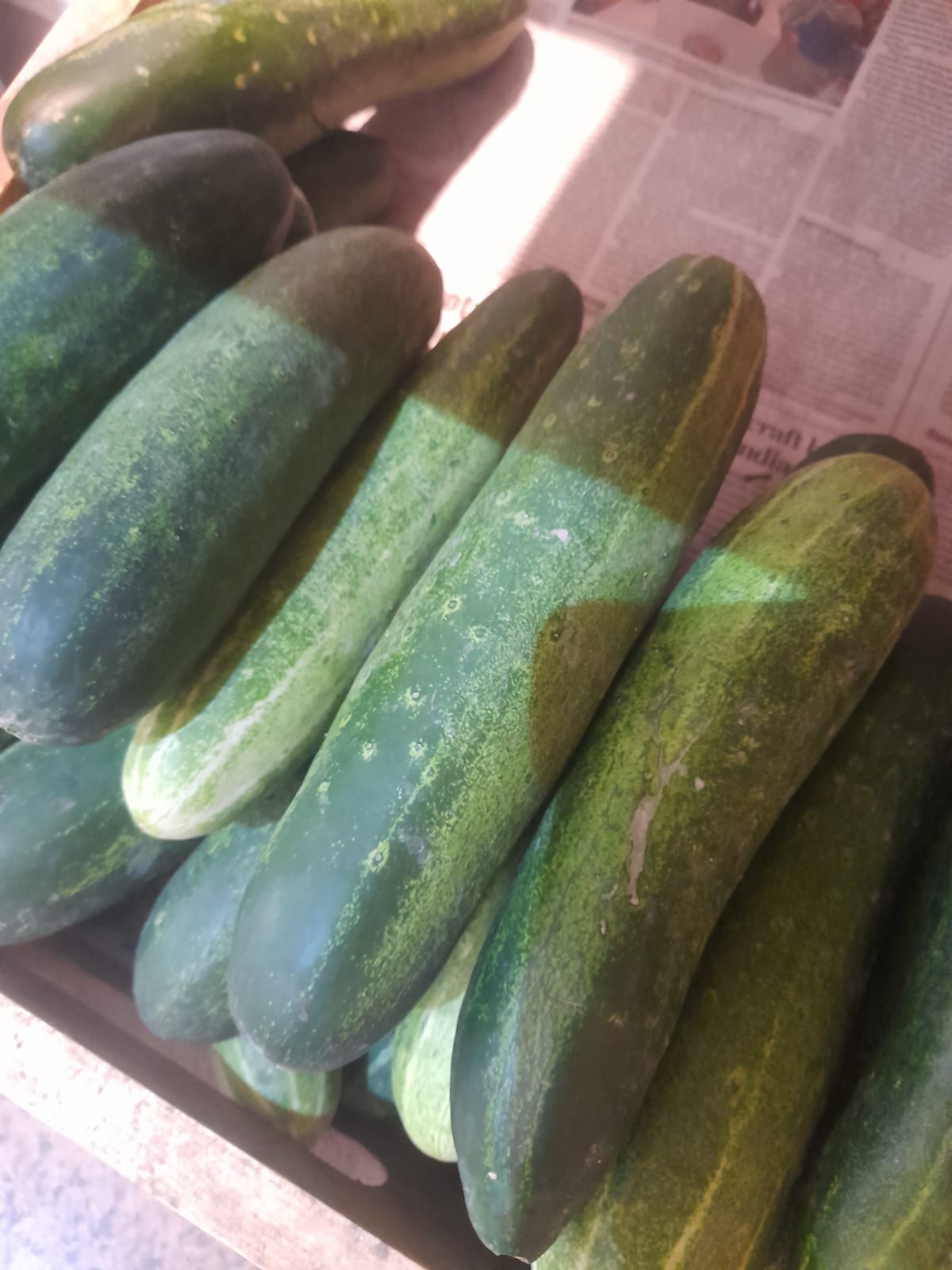 Organic Cucumber - 500g
