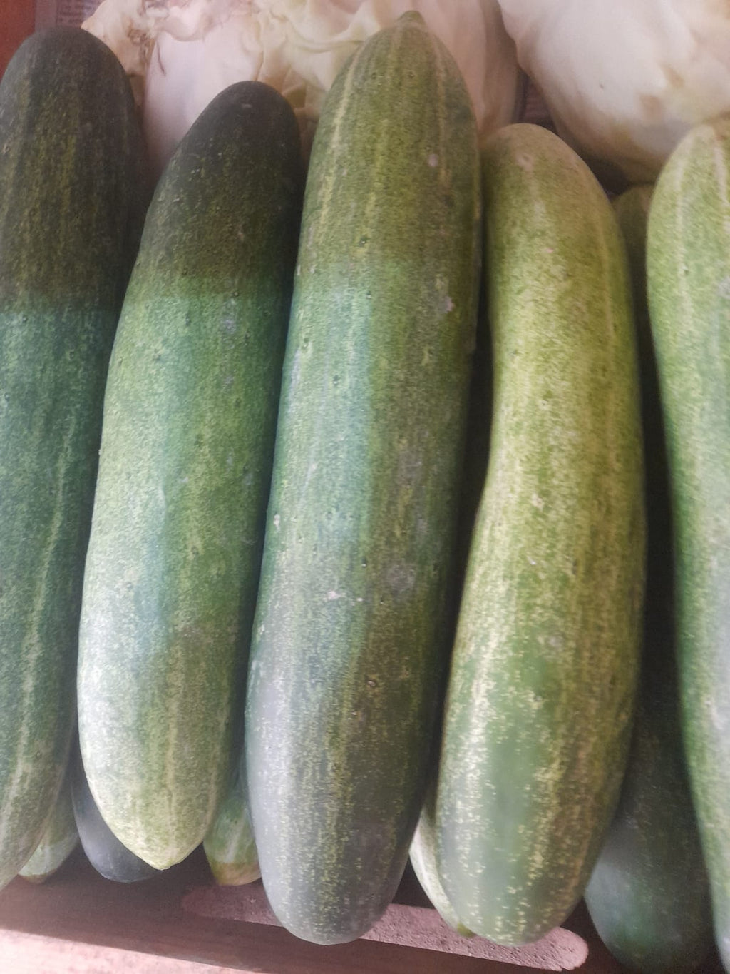 Organic Cucumber - 500g