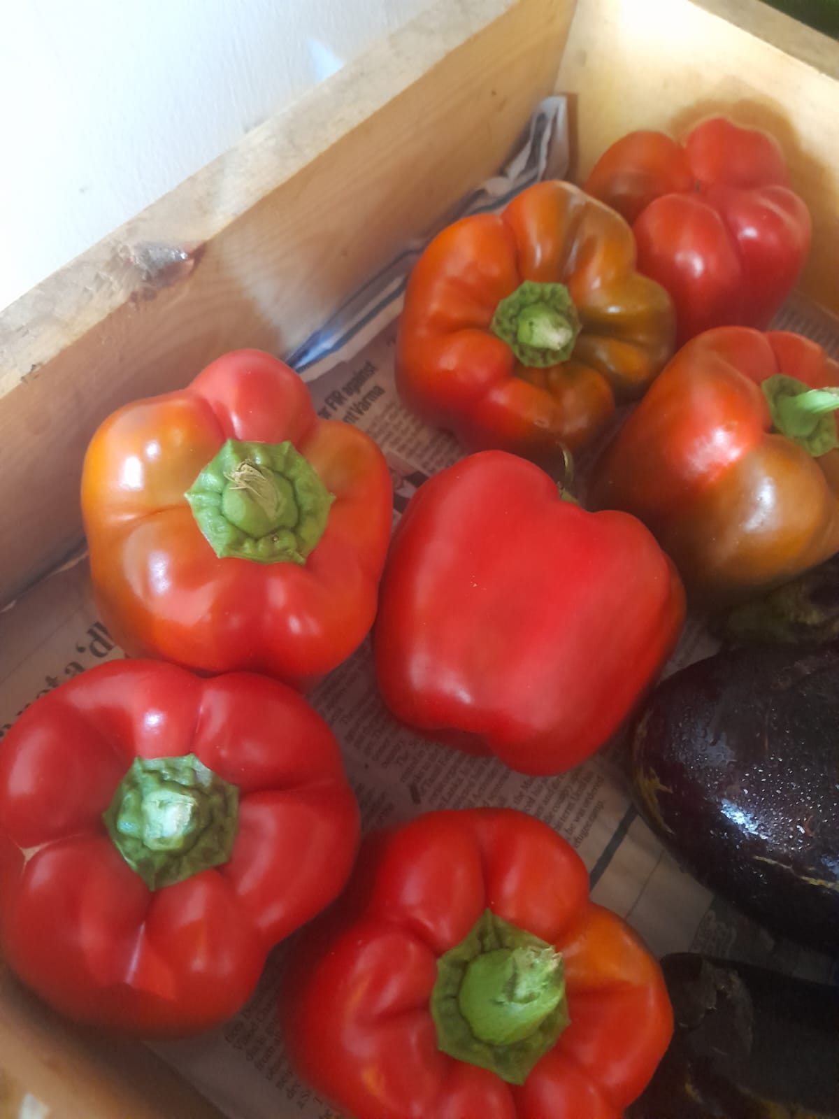 Organic Capsicum Red - 1pc