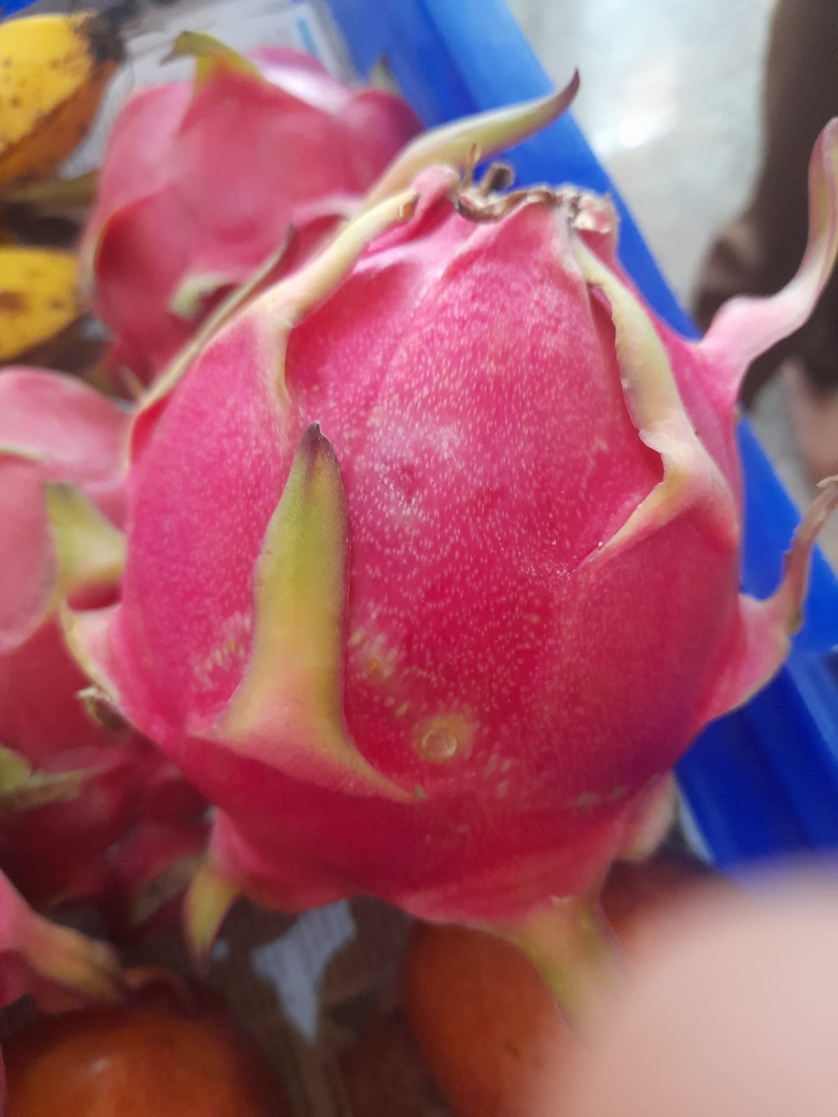 Organic Dragon Fruit Red - 1 pc