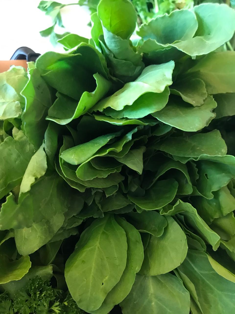 Organic Spinach/Palak - 1 bunch