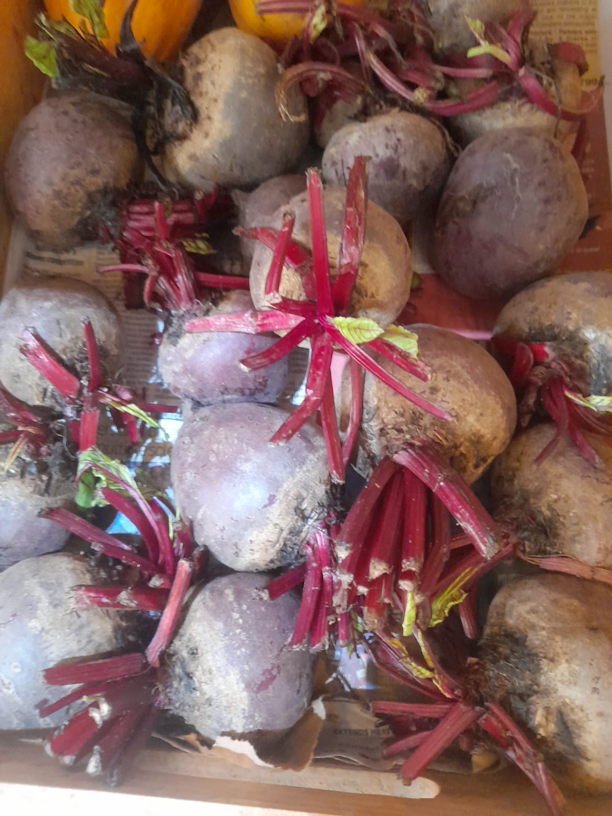 Organic Beetroot(Ooty) - 250g