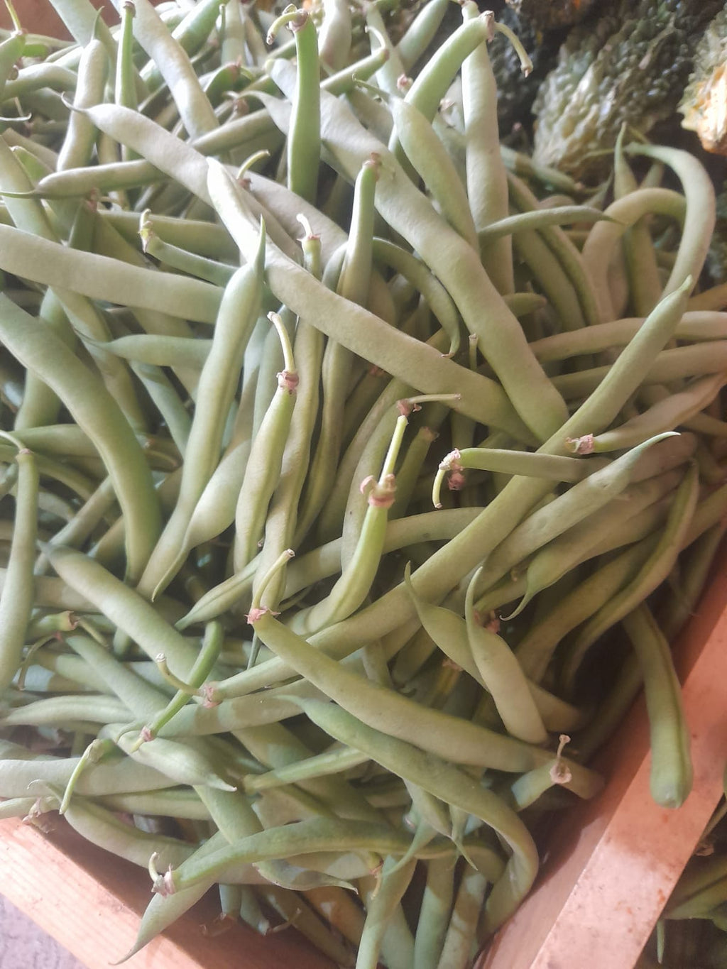 Organic Nati Beans - 250g