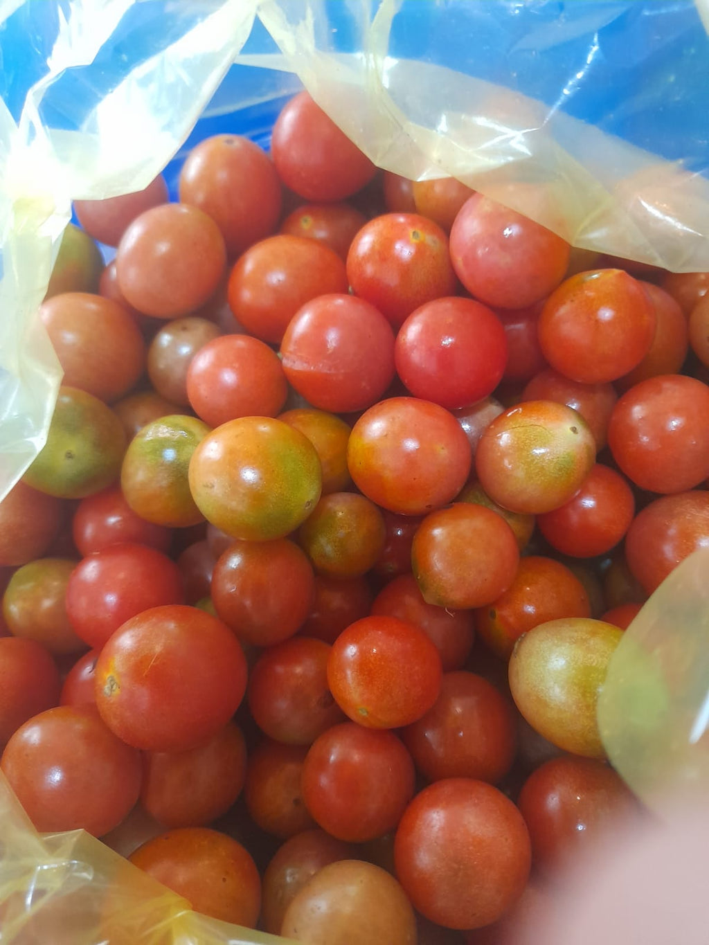Organic Tomato Nati - 1kg