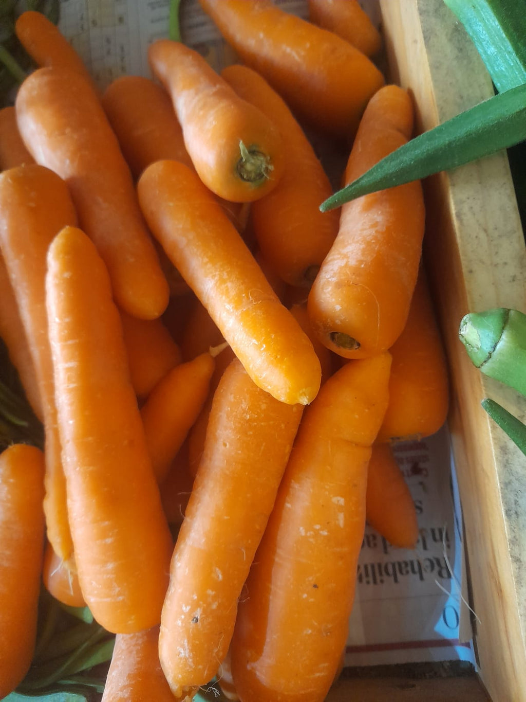 Organic Carrot Ooty - 500g